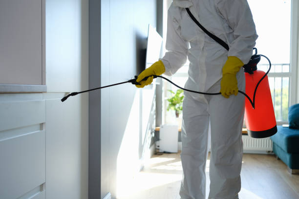 Mold Testing and Removal in Blandon, PA