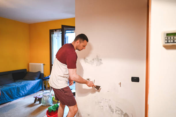 Best Mold Testing  in Blandon, PA